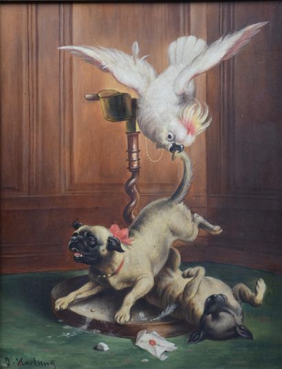Carl REICHERT (1836-1918) 卡尔-雷切特（1836-1918）。红木板上的油画，表现的是一个动物场景：巴哥犬和鹦鹉在战斗中，左下角有J....