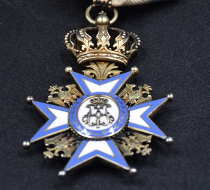 null Serbian medal. Knight's Cross of the Order of Saint Sava.
