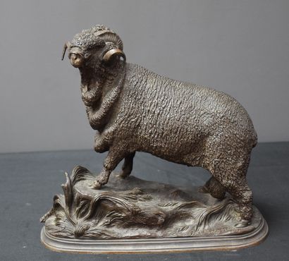 Jules MOIGNIEZ (1835-1894). 儒勒-莫尼耶兹（1835-1894）。青铜色的羊毛公羊。高度：23厘米。