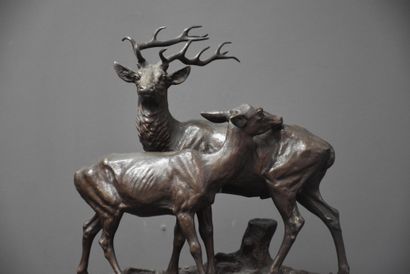 Alfred DUBUCAND (1828-1894) 
阿尔弗雷德-杜布坎德（1828-1894）。雄鹿和雌鹿。青铜，带有棕色的铜锈。高：28厘米。在雄鹿的一...