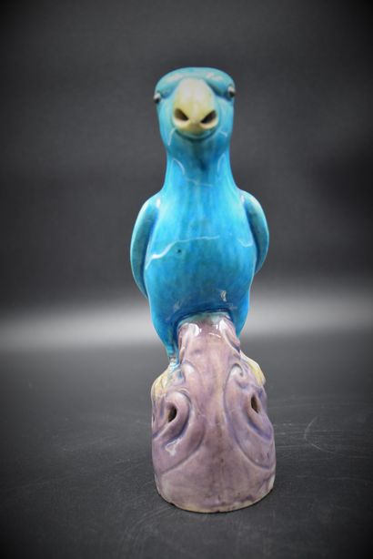 null Paire de perroquets en céramique turquoise. Chine XIX ème siècle. Ht : 24 c...