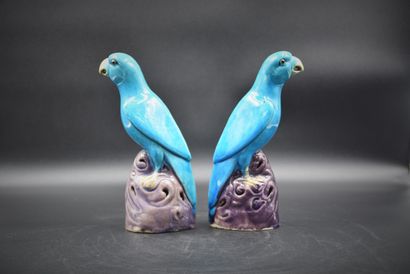 null Paire de perroquets en céramique turquoise. Chine XIX ème siècle. Ht : 24 c...