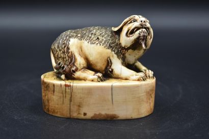 null Chinese stamp in carved ivory representing a dog of Fô lying down, inscriptions...