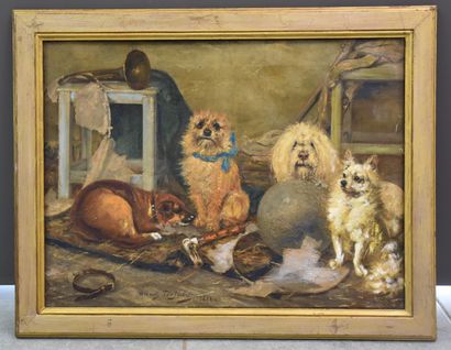 Albert Toefaerts (1856-1909). 阿尔伯特-托法尔茨（1856-1909）。阁楼上的一群狗。尺寸：45 x 60厘米。