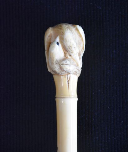 null Antique ivory umbel handle from Japan -Shybayama. Meiji period imitating bamboo...