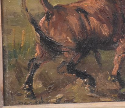 Henry Shouten (1857-1927) Henry SCHOUTEN (1857-1927). Combat de taureaux Huile sur...
