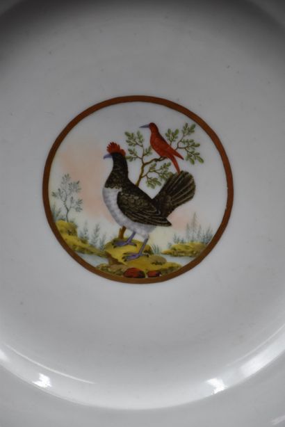 null A late 18th century porcelain plate with polychrome decoration of birds.