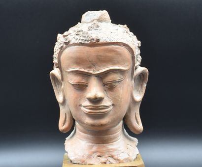 null Terracotta Buddha bust Thailand 18th century. Ht : 22 cm. Nederlandse Versie...