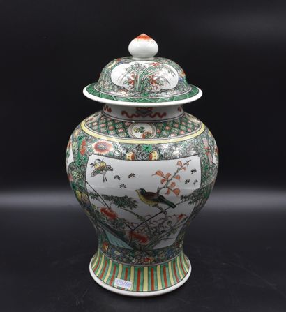 null Pair of Chinese porcelain pots of the green family with birds and butterflies....