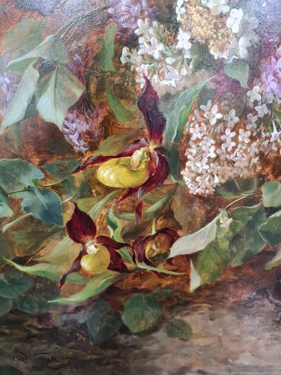 Olga WISINGER FLORIAN(1844-1926) 奥尔加-维辛格-弗洛里安（1844-1926）。维也纳学派。静物画中的花朵和观察蚜虫的蝾螈。板上油彩。左下角有签名，背面有纸张会签。这些由艺术家题名和副署的小纸片经常出现在她的作品背面。这位艺术家受到普兰肯贝格画派（创始人埃米尔-辛德勒）的影响。她是女作家和艺术家联盟的主席。尺寸：45...