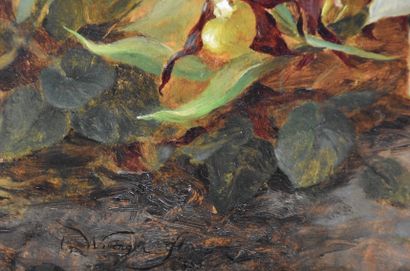Olga WISINGER FLORIAN(1844-1926) 奥尔加-维辛格-弗洛里安（1844-1926）。维也纳学派。静物画中的花朵和观察蚜虫的蝾螈。板上油彩。左下角有签名，背面有纸张会签。这些由艺术家题名和副署的小纸片经常出现在她的作品背面。这位艺术家受到普兰肯贝格画派（创始人埃米尔-辛德勒）的影响。她是女作家和艺术家联盟的主席。尺寸：45...