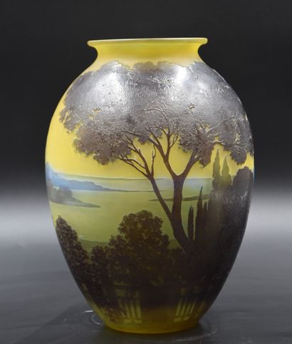 EMILE GALLE (1846-1904) Emile GALLE (1846-1904). Imposant vase en verre multicouches...