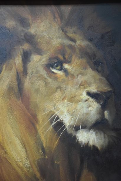 Tadé STYKA (1889-1954) Tadé STYKA (1889-1954). Portrait de lion attribué à Tadé Styka....