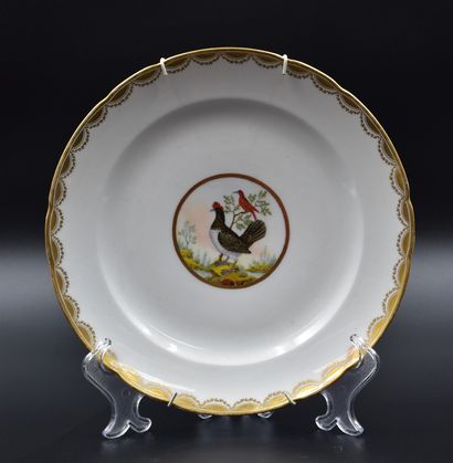 null Assiette en porcelaine fin XVIIIème à décor polychrome d'oiseaux. 

NL: Porseleinen...