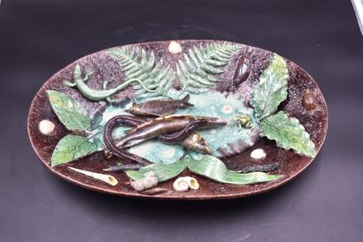 null Suite of Palissy. France XIXth century. Oval dish in majolica decorated with...