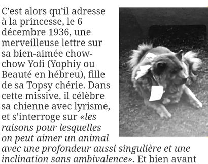 Oscar NEMON (1906-1985). Oscar NEMON (1906-1985). Le chien Tatoon ou Tatoun. Bronze...