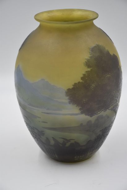 Émile GALLÉ (1846-1904) Emile GALLE (1846-1904). Vase ovoïde représentant un envol...
