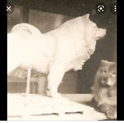 Oscar NEMON (1906-1985). Oscar NEMON (1906-1985). Le chien Tatoon ou Tatoun. Bronze...