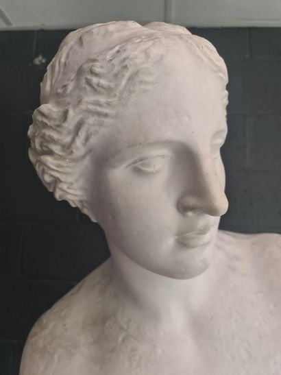 null Monumentale sculpture en plâtre d'atelier représentant la Vénus de Milo Ht :...