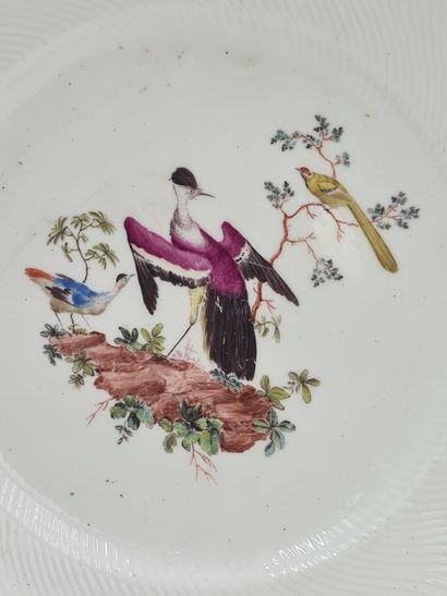 null Assiette en porcelaine de Tournai XVIIIème à décor polychrome d’oiseaux imaginaires....