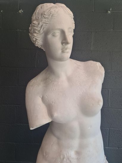 null Monumentale sculpture en plâtre d'atelier représentant la Vénus de Milo Ht :...