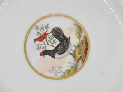null Assiette en porcelaine fin XVIIIème à décor polychrome d'oiseaux. 



Laat 18e...