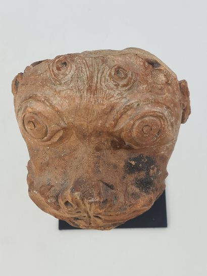 null Head of lion grimacing. Terracotta. Italy, Renaissance period. Head height :...
