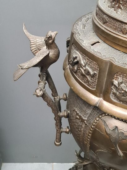 null 重要的青铜构件，带有棕色和镀金的光泽，由一个烧香的花瓶组成，在高高的四脚底座上有一个奇美拉的头，上面有一个上层建筑，形成一个盖子，底部有浮雕的龙，上面有一只张开翅膀的猎鸟。花瓶上装饰有鸟类和植物的浮雕图案，周围有珠子，背景是蛭石，两个把手是栖息地的形式，两只鸟在上面栖息，使花瓶更加突出。日本，明治时期（1868-1912）...