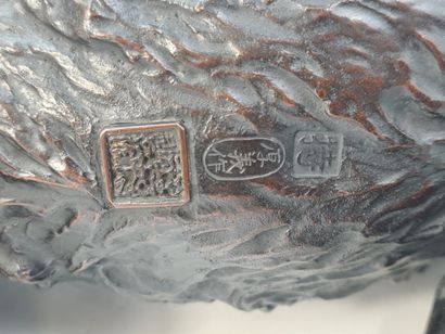 null Bel et grand okimono en bronze à patine brune, représentant un tigre rugissant,...