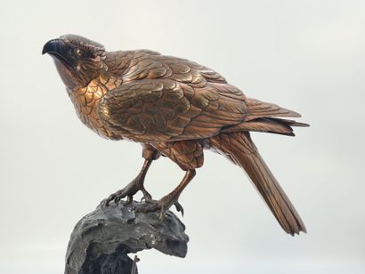 null Large bronze okimono, representing a bird of prey in sentoku copper alloy, perched...