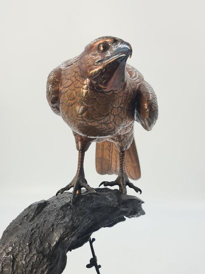 null Grand okimono en bronze, représentant un rapace en alliage de cuivre sentoku,...