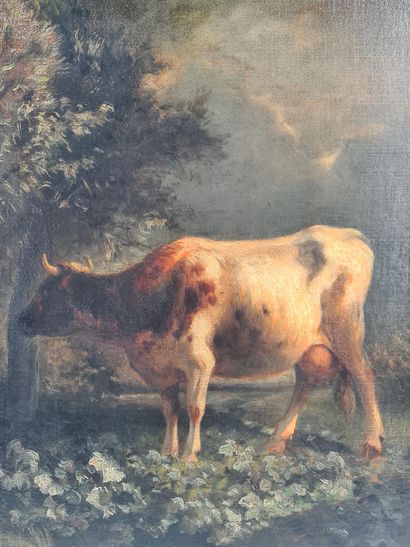 Constant TROYON (1810-1865). Constant TROYON (1810-1865). Vache dans un paysage au...