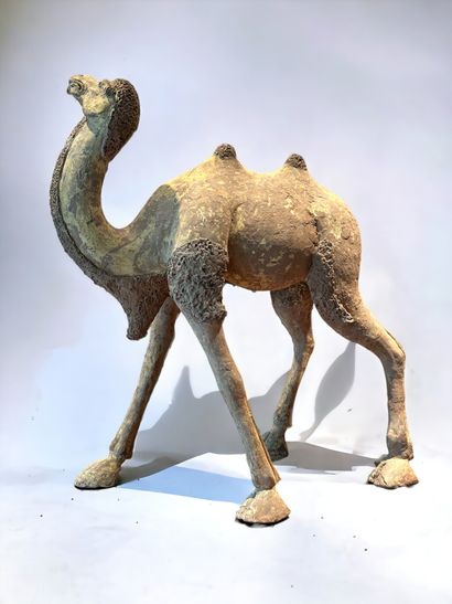 null China, Tang Minqi period terracotta figure of a blathering terracotta camel....