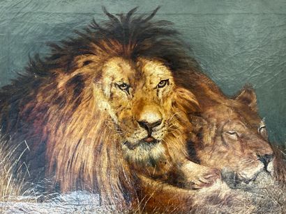 null Lion and lioness. Oil on canvas signed and dated 1960s. Dimensions: 50 x 72...