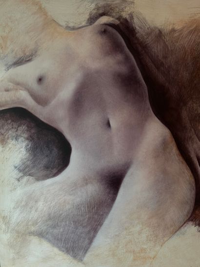 Nicolas BINSFELD (1945). Nicolas BINSFELD (1945). Female nude. Oil on canvas. Dimensions...