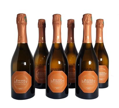 null Six bouteilles de Champagne Xavier LORIOT Brut Hypnotic
40% Chardonnay, 30%...