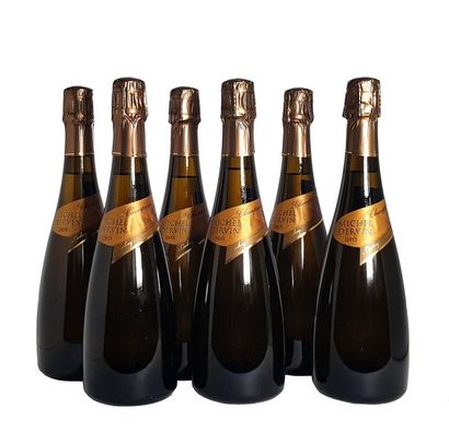 null Six bouteilles de Champagne Michel DERVIN Brut Millésime 2015

Lot assujetti...