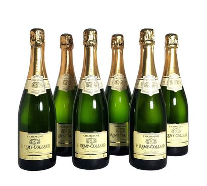 null Six bouteilles de Champagne Rémy COLLARD Brut Cuvée Tradition
100% Meunier

Lot...