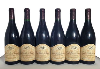 null 6 bouteilles Saint-Nicolas de Bourgueil, Domaine Raymon Morin, 1997 (e.t.h)