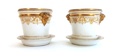 null Pair of planters with their porcelain saucers with faun's masks and gold decoration...