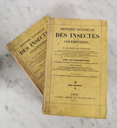 null COMTE DE CASTELNAU, Histoire Naturelle des Insectes Coléoptères, 2 tomes
Édition...