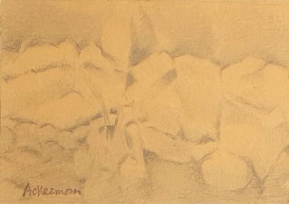null Paul ACKERMAN [franco-roumain] (1908-1981)
Paysage de montagne
Crayon sur carton...