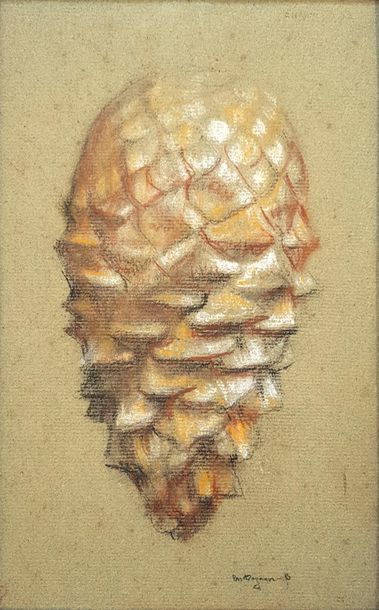 null Pascal Adolphe Jean DAGNAN-BOUVERET (1852-1929)
Pomme de pin
Pastel et craie...