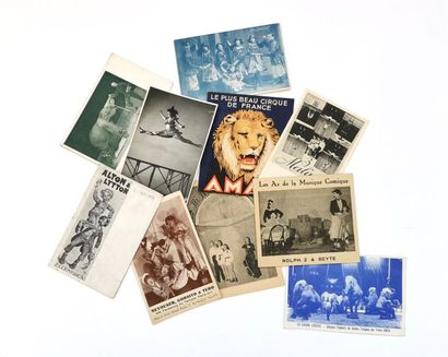 null Lot de dix cartes postales anciennes dont cartons et photographies : Éléphants...