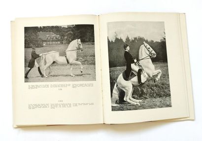null Alois PODHAJSKY (1898-1973 – directeur de l’École espagnole d’équitation de...