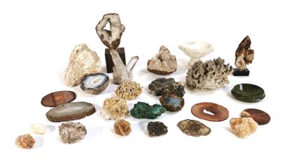 null Collection of minerals and shells including coral, quartz, smoky quartz, agate,...
