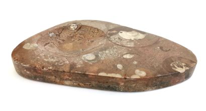 null Oblong pocket in fossilized marble 

23 x 16 cm