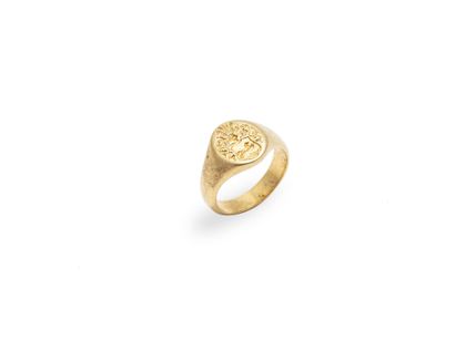 null 18K (750 thousandths) yellow gold lady's ring featuring a coat of arms

TDD...