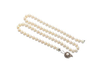 null Necklace made of choker cultured pearls, white gold clasp with a cultured pearl

Length...