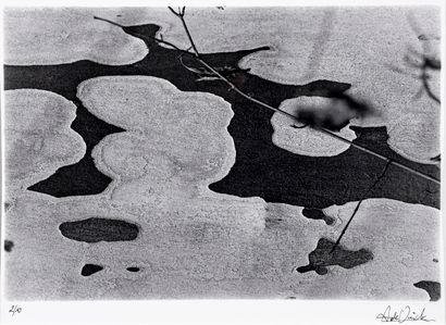 null A. de VINCK (20th century school)

Abstract landscape

Photograph signed and...